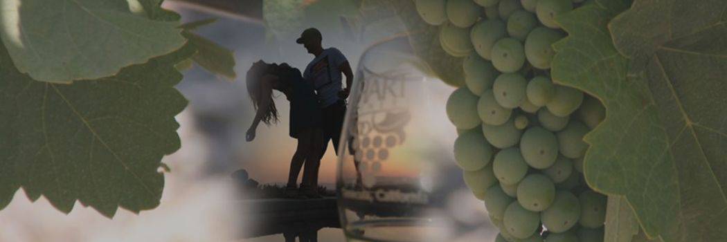 couple in shadow with grapes and leaves and a wineglass for home page