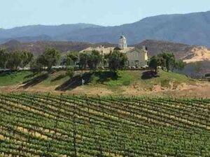 Morgan Estate for Private Temecula Wine Tours phome page